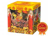 Красивая жизнь Фейерверк купить в Дмитровске | dmitrovsk.salutsklad.ru