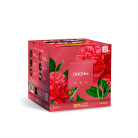 Пионы Салют купить в Дмитровске | dmitrovsk.salutsklad.ru