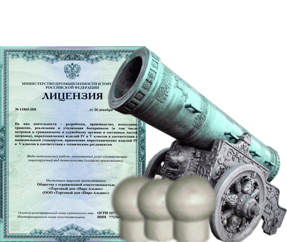 Заказать фейерверк на Новый Год - салют в Дмитровске