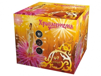 Хризантема Салют купить в Дмитровске | dmitrovsk.salutsklad.ru