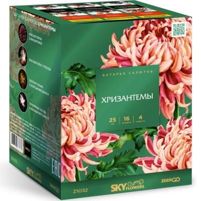 Хризантемы Фейерверк купить в Дмитровске | dmitrovsk.salutsklad.ru